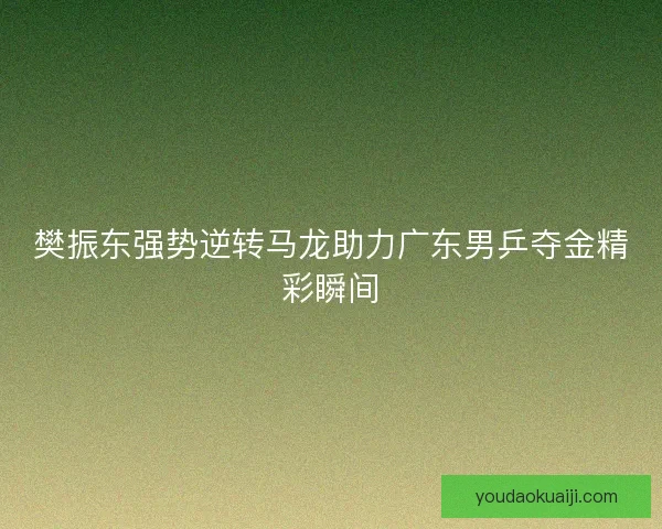 樊振东强势逆转马龙助力广东男乒夺金精彩瞬间