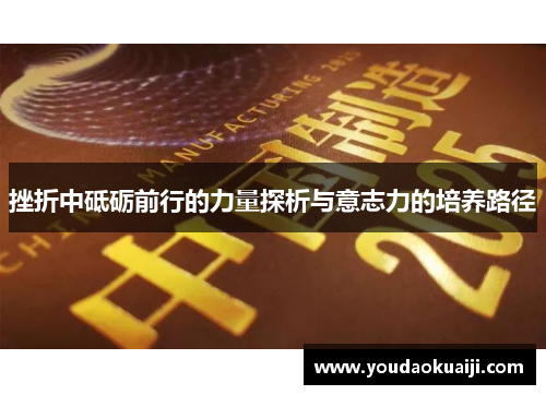 挫折中砥砺前行的力量探析与意志力的培养路径