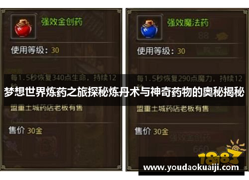 梦想世界炼药之旅探秘炼丹术与神奇药物的奥秘揭秘